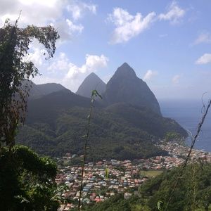 Meet your Posher, Shannon